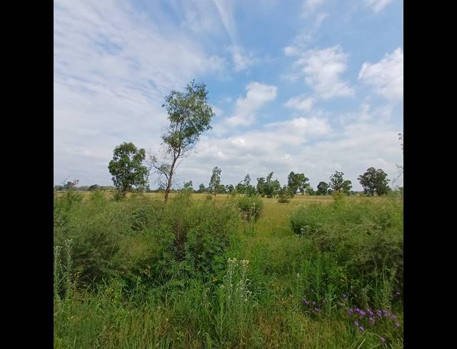 87,023M² VACANT LAND FOR SALE IN OPHIR AH